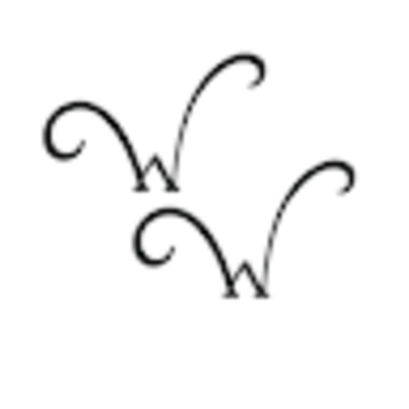 Meet your Posher, Lilia - Picture 1 of 1